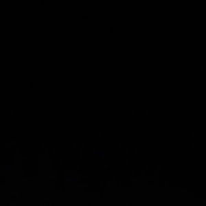 Meet your Posher, Katie pickering